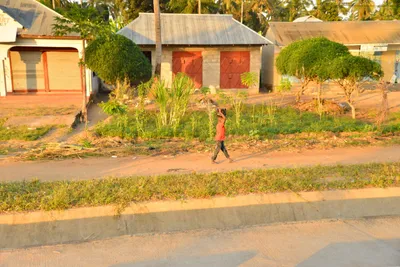 DSC_4282 (Large).JPG